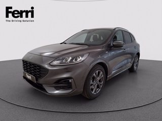 FORD Kuga 2.5 full hybrid ST-Line 2wd 190cv cvt