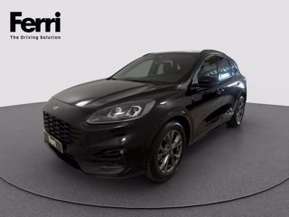 FORD Kuga 1.5 ecoblue ST-Line X 2wd 120cv auto