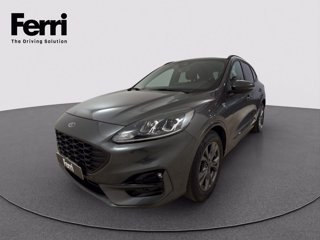 FORD Kuga 1.5 ecoblue ST-Line 2wd 120cv