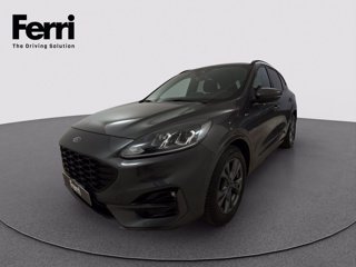 FORD Kuga 1.5 ecoblue ST-Line 2wd 120cv auto