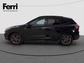 FORD Kuga 2.0 ecoblue ST-Line 2wd 120cv auto