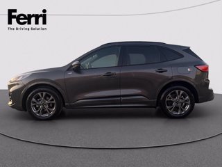 FORD Kuga 2.0 ecoblue ST-Line 2wd 120cv auto