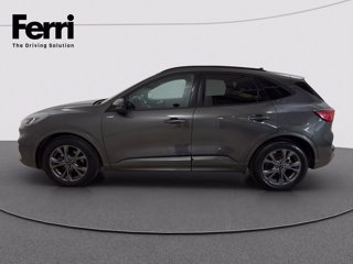 FORD Kuga 2.0 ecoblue ST-Line 2wd 120cv auto