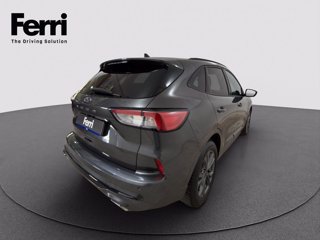 FORD Kuga 2.0 ecoblue ST-Line 2wd 120cv auto