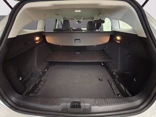 FORD Focus SW 1.5 ecoblue Business s&s 120cv Autocarro N1