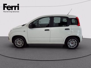 FIAT Panda 1.2 Easy easypower Gpl 69cv my19