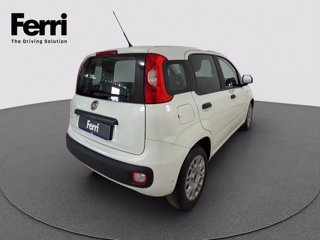 FIAT Panda 1.2 Easy easypower Gpl 69cv my19