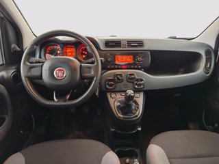 FIAT Panda 1.2 Easy easypower Gpl 69cv my19