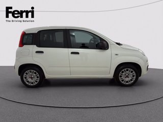 FIAT Panda 1.2 Easy easypower Gpl 69cv my19