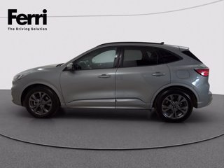 FORD Kuga 2.5 full hybrid ST-Line 2wd 190cv cvt