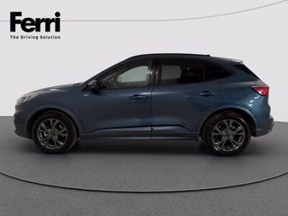FORD Kuga 2.5 full hybrid ST-Line 2wd 190cv cvt