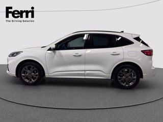 FORD Kuga 2.5 full hybrid ST-Line 2wd 190cv cvt