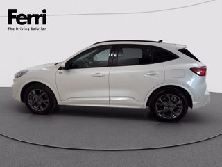 FORD Kuga 2.5 full hybrid ST-Line 2wd 190cv cvt