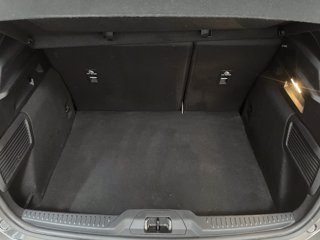 FORD Focus 1.5 ecoblue ST-Line 115cv auto