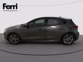 FORD Focus 1.5 ecoblue ST-Line 115cv auto