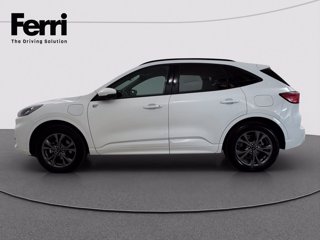 FORD Kuga 2.5 phev ST-Line X 2wd 225cv cvt - Gancio Traino