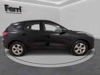 FORD Kuga 1.5 ecoblue Connect 2wd 120cv