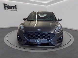 FORD Kuga 2.0 ecoblue ST-Line X 2wd 120cv auto