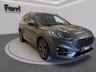 FORD Kuga 2.0 ecoblue ST-Line X 2wd 120cv auto