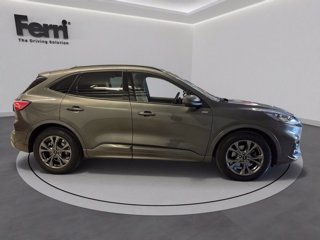 FORD Kuga 2.0 ecoblue ST-Line X 2wd 120cv auto
