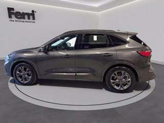 FORD Kuga 2.0 ecoblue ST-Line X 2wd 120cv auto