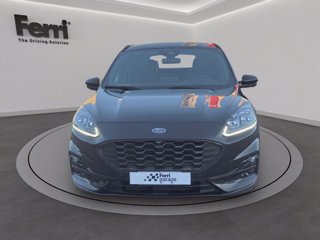 FORD Kuga 2.0 ecoblue ST-Line X 2wd 120cv auto
