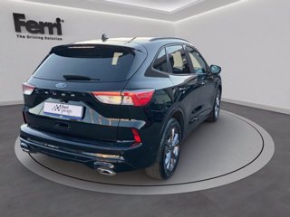 FORD Kuga 2.0 ecoblue ST-Line X 2wd 120cv auto