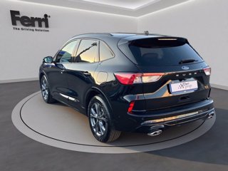 FORD Kuga 2.0 ecoblue ST-Line X 2wd 120cv auto